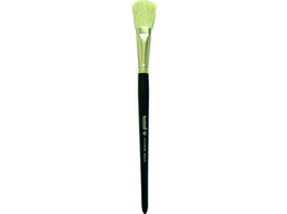 PROFESSIONAL BROSSE A MASQUE MEDIUM