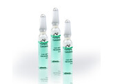 AP PURIFYING CONCENTRATE 10x2ML